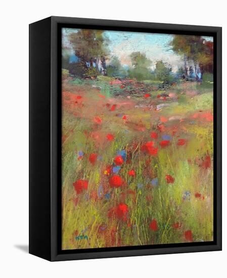 Big Meadow-Karen Margulis-Framed Stretched Canvas