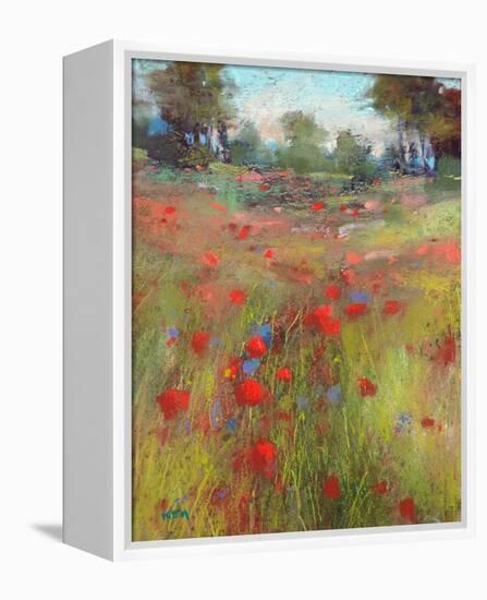 Big Meadow-Karen Margulis-Framed Stretched Canvas