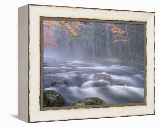 Big Moose River Rapids in Fall, Adirondacks, New York, USA-Nancy Rotenberg-Framed Premier Image Canvas