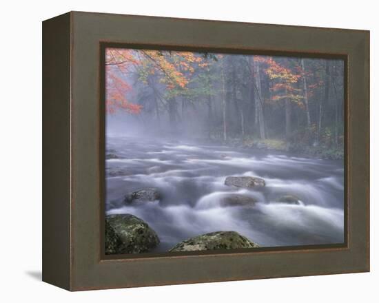 Big Moose River Rapids in Fall, Adirondacks, New York, USA-Nancy Rotenberg-Framed Premier Image Canvas