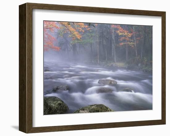 Big Moose River Rapids in Fall, Adirondacks, New York, USA-Nancy Rotenberg-Framed Photographic Print