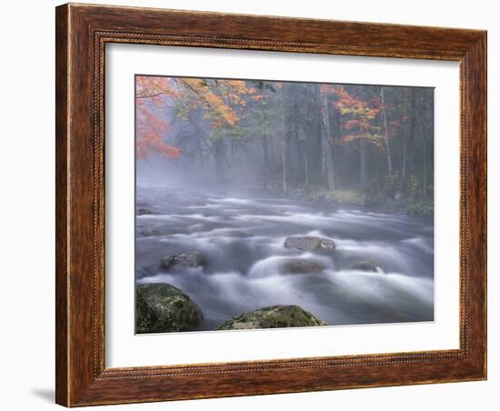 Big Moose River Rapids in Fall, Adirondacks, New York, USA-Nancy Rotenberg-Framed Photographic Print