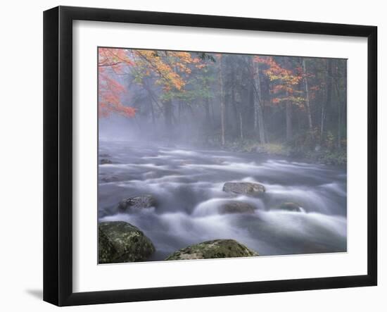 Big Moose River Rapids in Fall, Adirondacks, New York, USA-Nancy Rotenberg-Framed Photographic Print