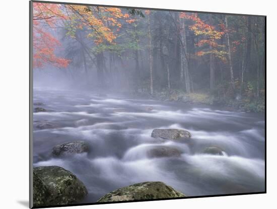 Big Moose River Rapids in Fall, Adirondacks, New York, USA-Nancy Rotenberg-Mounted Photographic Print
