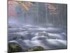 Big Moose River Rapids in Fall, Adirondacks, New York, USA-Nancy Rotenberg-Mounted Photographic Print