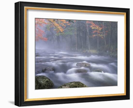 Big Moose River Rapids in Fall, Adirondacks, New York, USA-Nancy Rotenberg-Framed Photographic Print