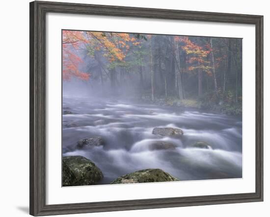 Big Moose River Rapids in Fall, Adirondacks, New York, USA-Nancy Rotenberg-Framed Photographic Print