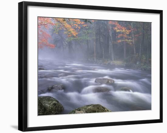 Big Moose River Rapids in Fall, Adirondacks, New York, USA-Nancy Rotenberg-Framed Photographic Print