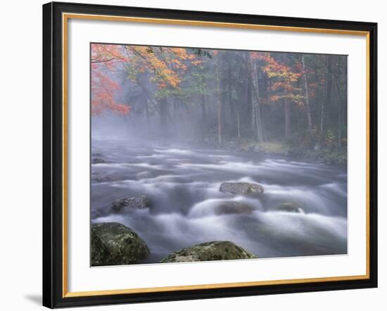 Big Moose River Rapids in Fall, Adirondacks, New York, USA-Nancy Rotenberg-Framed Photographic Print