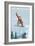 Big Mountain - Whitefish, Montana - Snowboarder Jumping-Lantern Press-Framed Premium Giclee Print