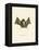 Big Naked-Backed Bat-null-Framed Premier Image Canvas