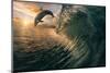 Big Ocean Breaking Wave and Sunset Dolphin Leaping.-Willyam Bradberry-Mounted Photographic Print