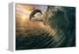 Big Ocean Breaking Wave and Sunset Dolphin Leaping.-Willyam Bradberry-Framed Premier Image Canvas