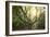 Big Old Broceliande Beech Treet-Philippe Manguin-Framed Photographic Print