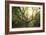 Big Old Broceliande Beech Treet-Philippe Manguin-Framed Photographic Print