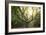 Big Old Broceliande Beech Treet-Philippe Manguin-Framed Photographic Print