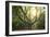 Big Old Broceliande Beech Treet-Philippe Manguin-Framed Photographic Print