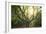 Big Old Broceliande Beech Treet-Philippe Manguin-Framed Photographic Print