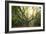 Big Old Broceliande Beech Treet-Philippe Manguin-Framed Photographic Print