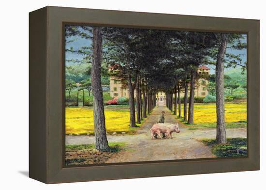 Big Pig, Pistoia, Tuscany-Trevor Neal-Framed Premier Image Canvas