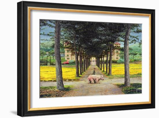 Big Pig, Pistoia, Tuscany-Trevor Neal-Framed Giclee Print