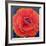 Big Poppy-Ruth Addinall-Framed Giclee Print