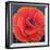 Big Poppy-Ruth Addinall-Framed Giclee Print