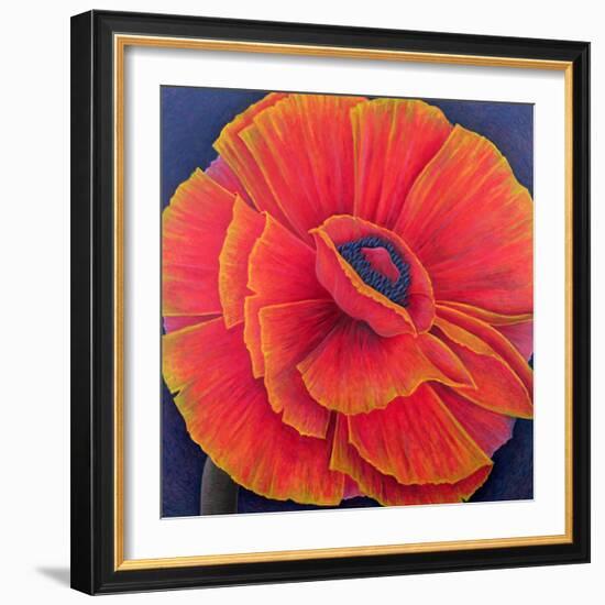 Big Poppy-Ruth Addinall-Framed Giclee Print