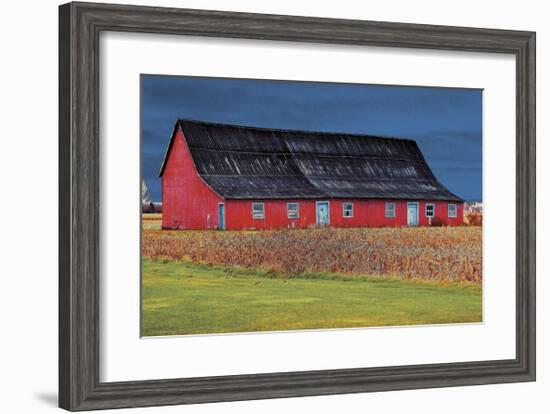 Big Red-Burney Lieberman-Framed Giclee Print