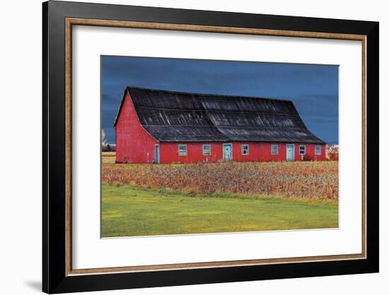 Big Red-Burney Lieberman-Framed Giclee Print