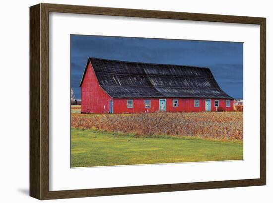 Big Red-Burney Lieberman-Framed Giclee Print