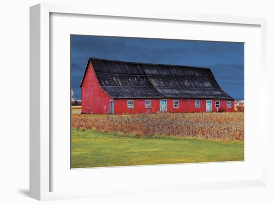 Big Red-Burney Lieberman-Framed Giclee Print