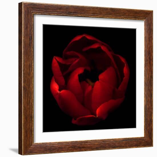 Big Red-Magda Indigo-Framed Photographic Print