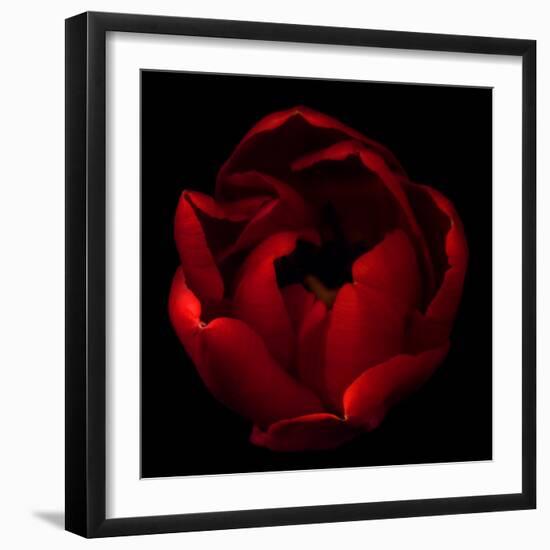 Big Red-Magda Indigo-Framed Photographic Print