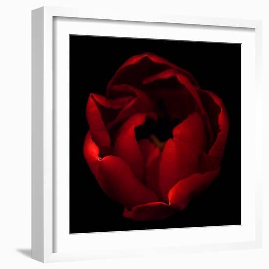 Big Red-Magda Indigo-Framed Photographic Print