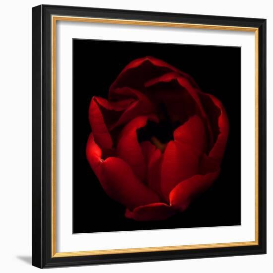 Big Red-Magda Indigo-Framed Photographic Print