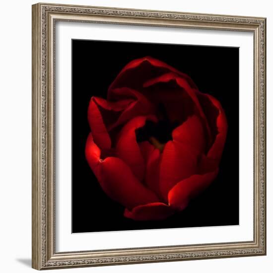 Big Red-Magda Indigo-Framed Photographic Print