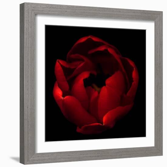 Big Red-Magda Indigo-Framed Photographic Print