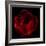 Big Red-Magda Indigo-Framed Photographic Print