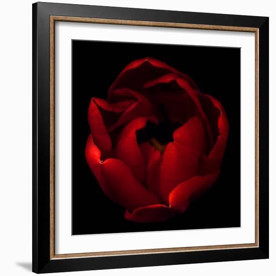 Big Red-Magda Indigo-Framed Photographic Print