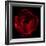 Big Red-Magda Indigo-Framed Photographic Print