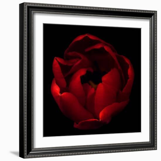 Big Red-Magda Indigo-Framed Photographic Print