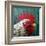 Big Red-Lucia Heffernan-Framed Art Print