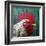 Big Red-Lucia Heffernan-Framed Art Print