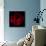 Big Red-Magda Indigo-Giclee Print displayed on a wall