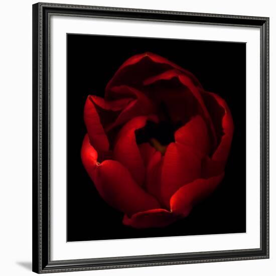 Big Red-Magda Indigo-Framed Giclee Print