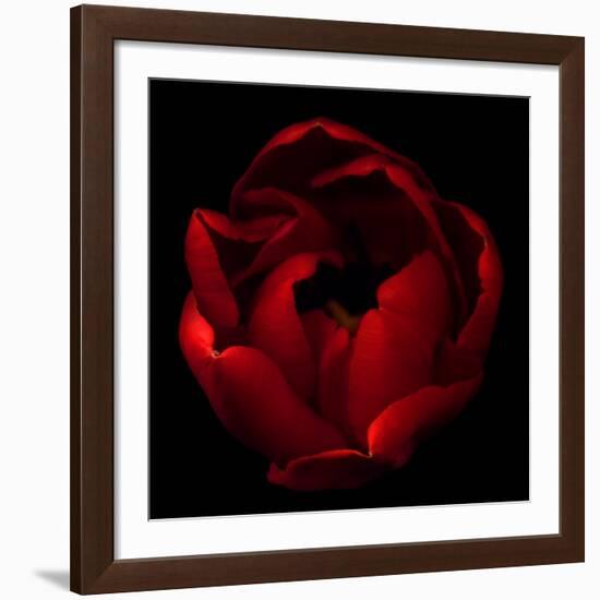 Big Red-Magda Indigo-Framed Giclee Print