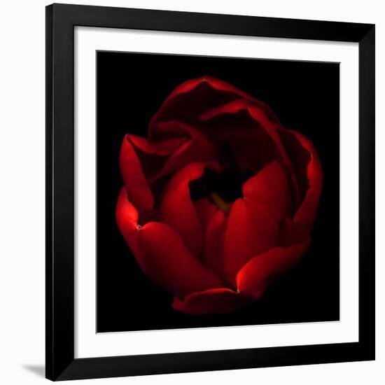 Big Red-Magda Indigo-Framed Giclee Print