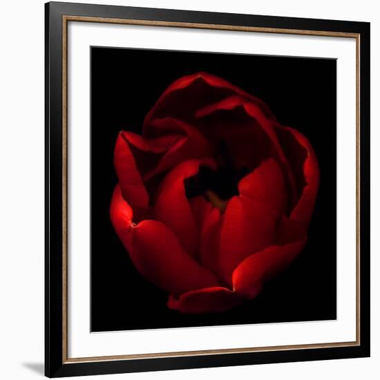 Big Red-Magda Indigo-Framed Giclee Print