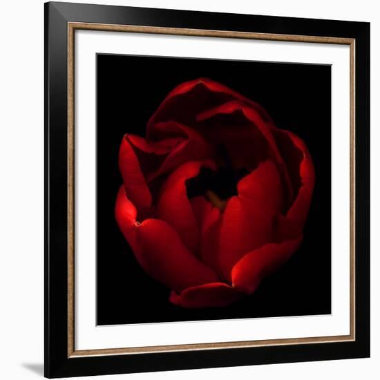 Big Red-Magda Indigo-Framed Giclee Print